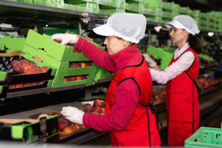 mujer-enfocada-trabajando-en-la