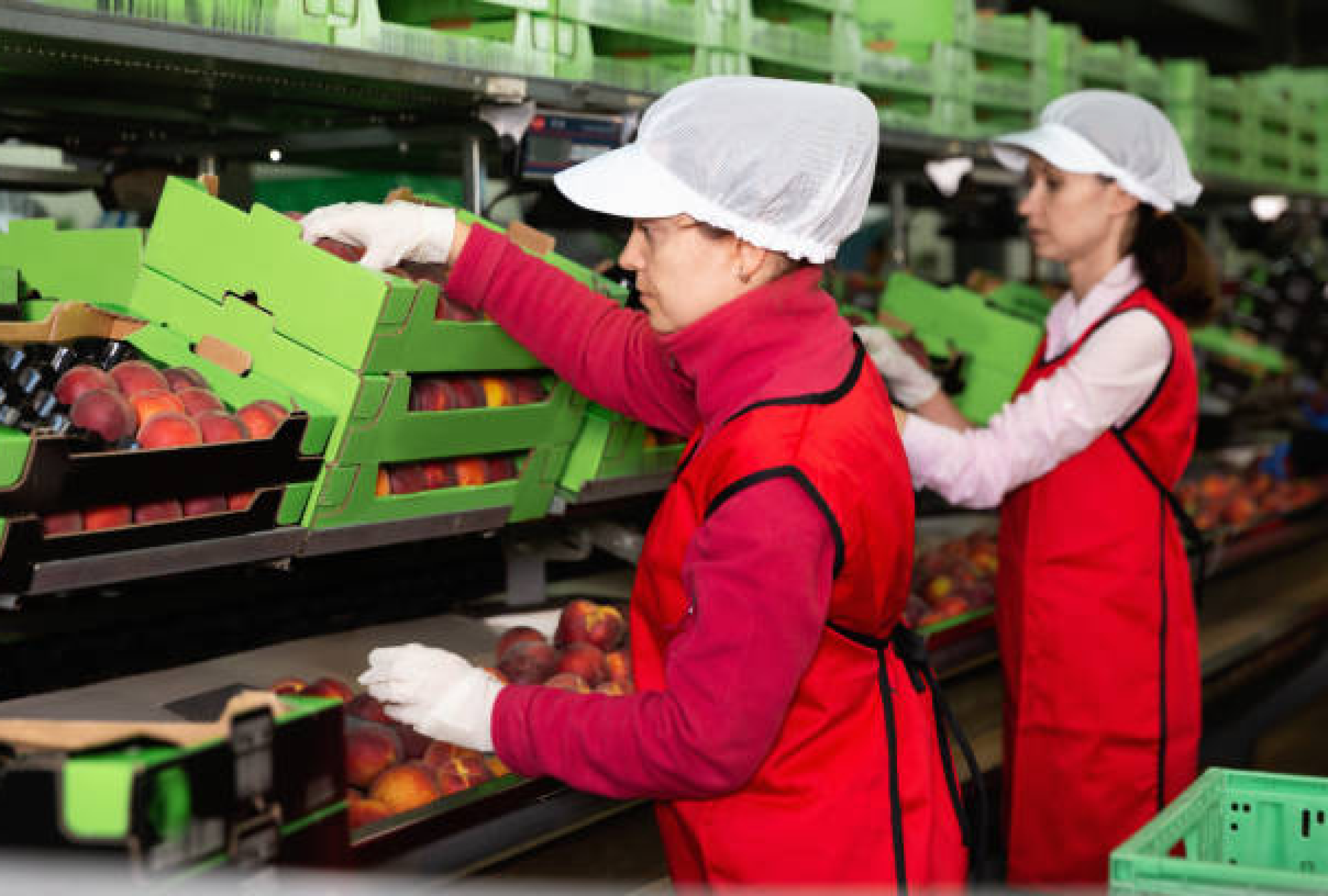 mujer-enfocada-trabajando-en-la