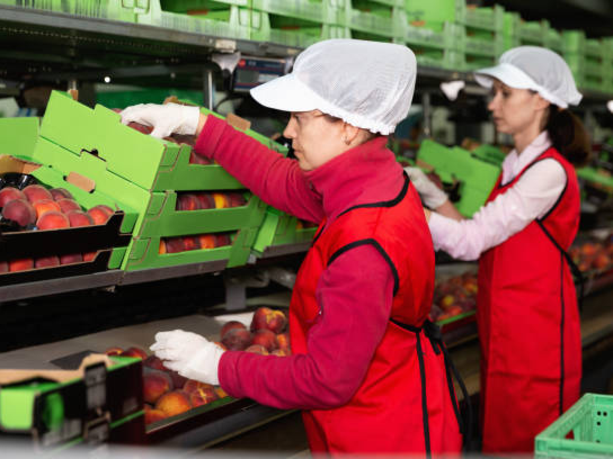 mujer-enfocada-trabajando-en-la